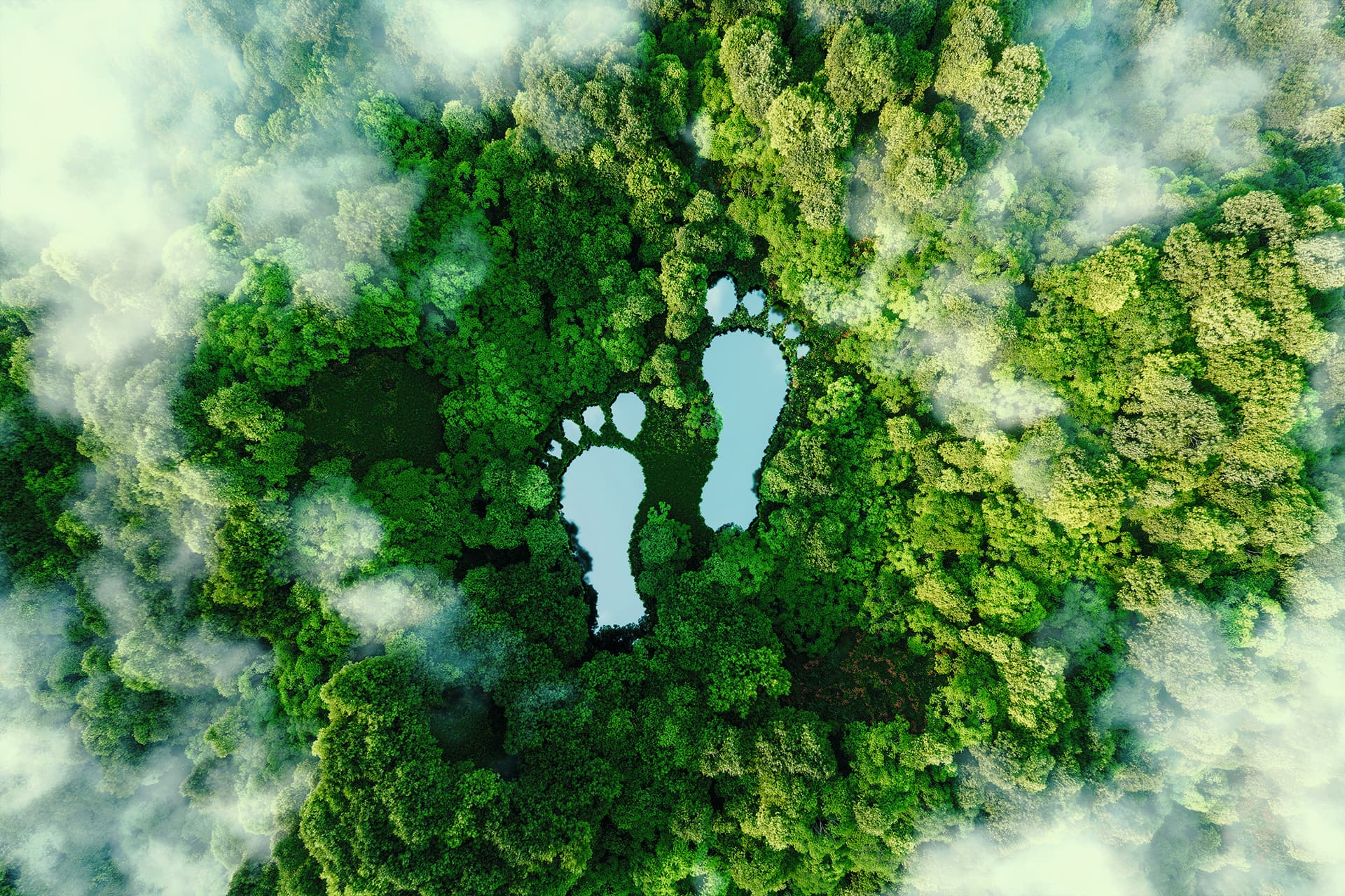 green foot print